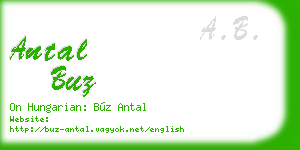 antal buz business card